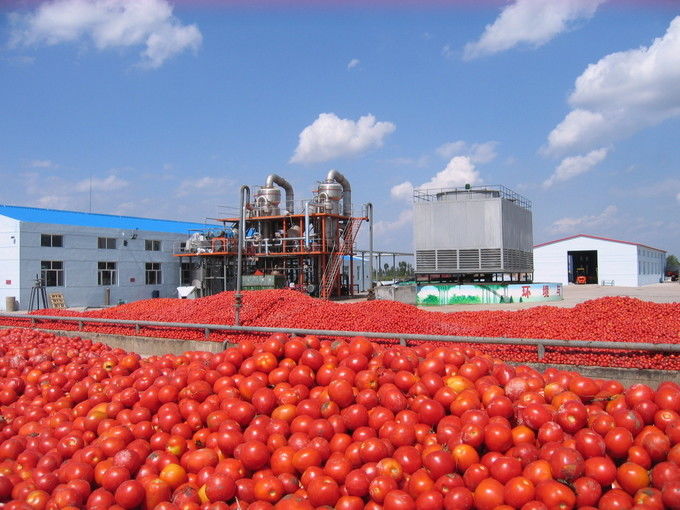 Arkhum (Tianjin) Health Technology Co., Ltd. 製造業者の生産ライン